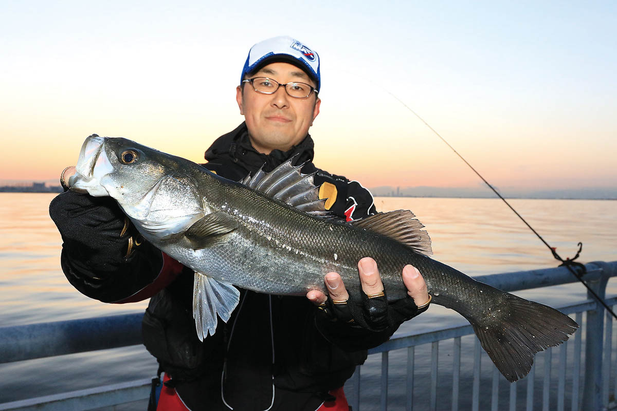 兵庫県芦屋市・南芦屋浜／エビ撒き釣りでねらうスズキ（シーバス